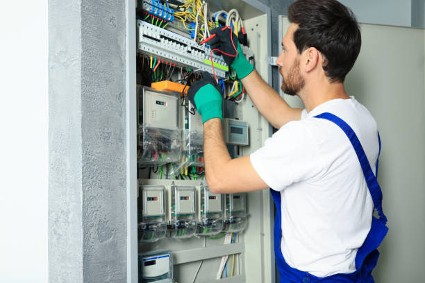 Best Affordable Electrician  in Roselle Park, NJ