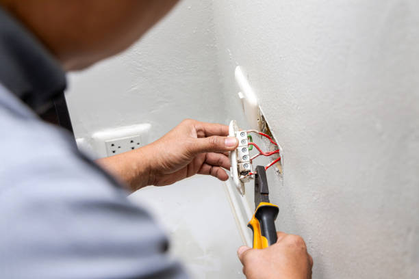 Best Licensed Electrician  in Roselle Park, NJ